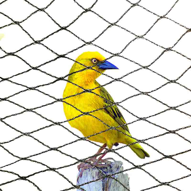पक्षीरोधी जाल के लिए कौन से रंग उपयुक्त हैं?