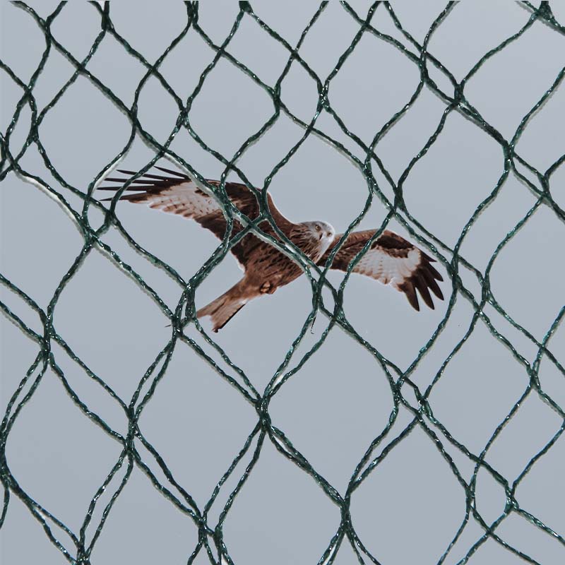 पक्षी निवारण जाल की सामग्री के विकल्प और फायदे और नुकसान क्या हैं?