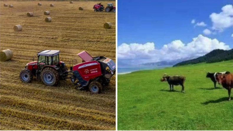 कृषि गतिविधियों में बेल नेट रैप का अनुप्रयोग