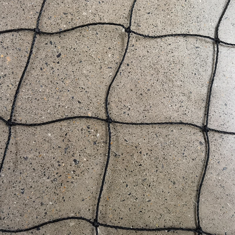 क्रिकेट जाल की भूमिका