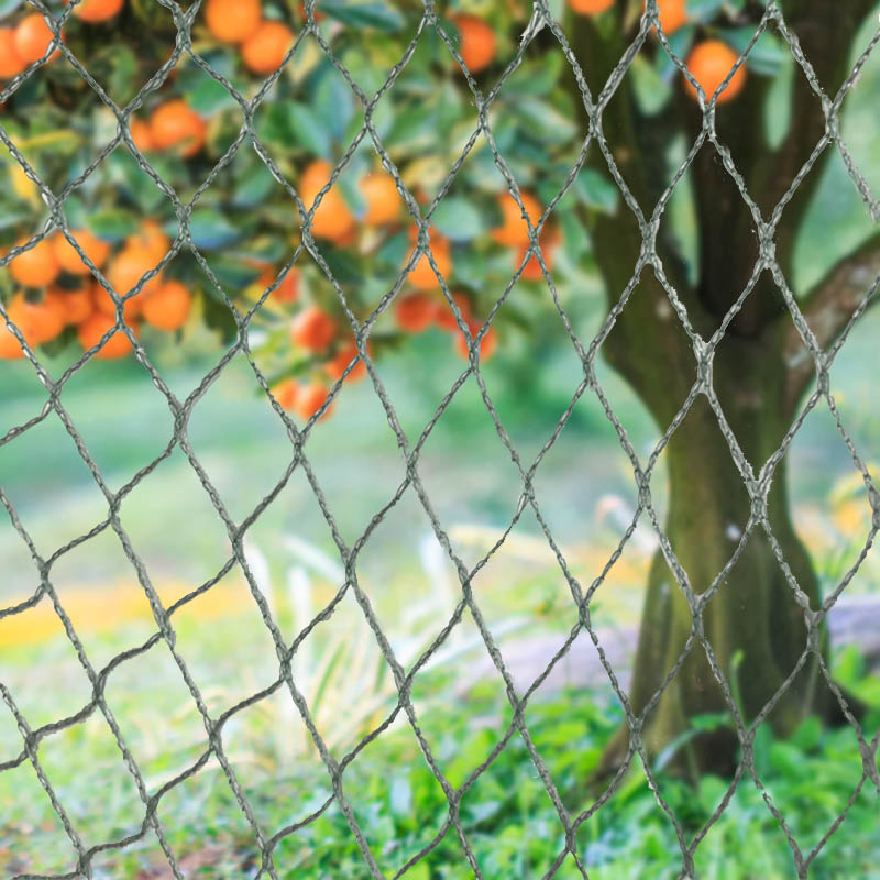 पक्षी जाल पशु बाधाएँ