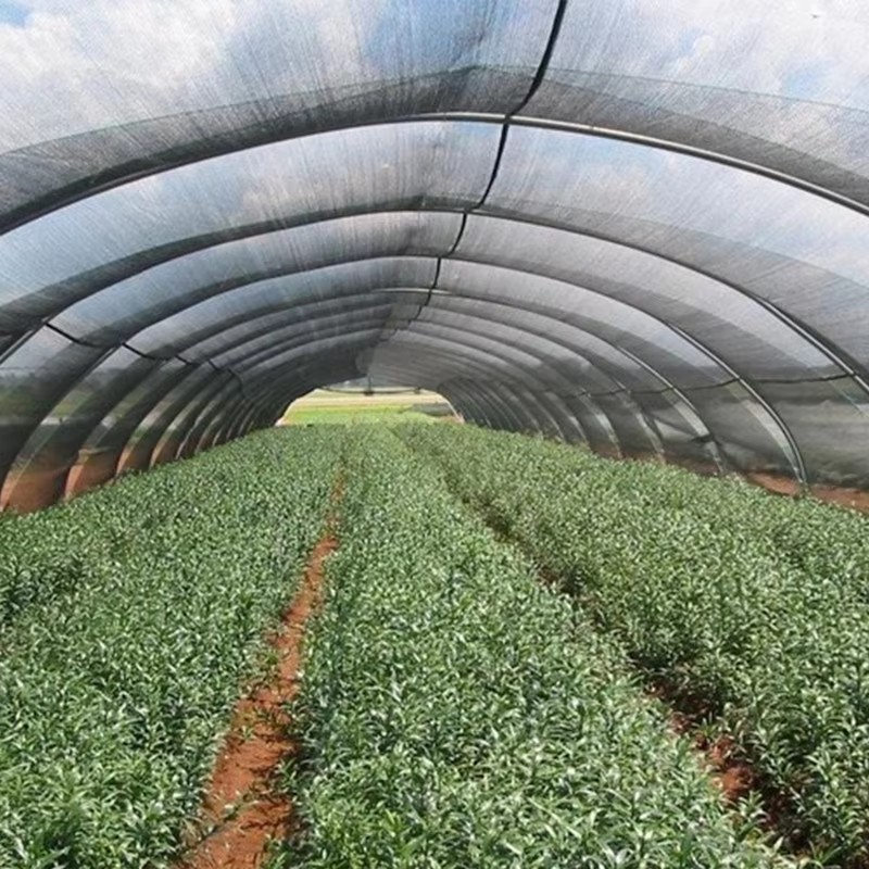 पौधों के लिए बगीचे की छाया वाला कपड़ा 40% धूप अवरुद्ध