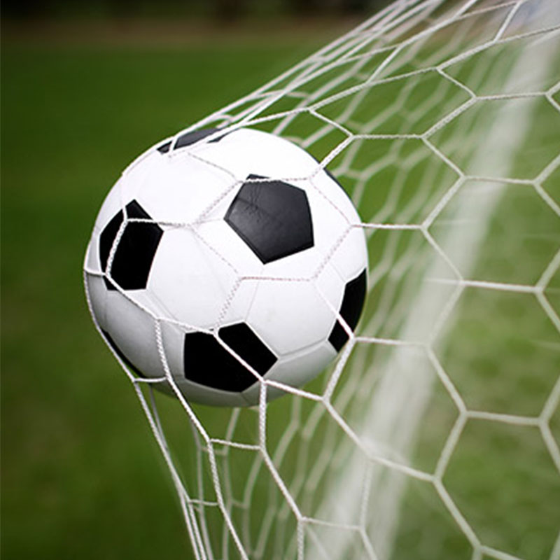 फ़ुटबॉल फ़ील्ड नेट